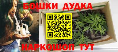 сатива Рыбинск