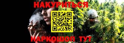прущие грибы Северобайкальск
