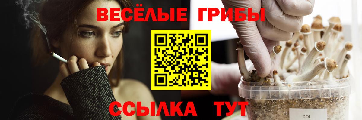 Галлюциногенные грибы Psilocybe  Вход с VPN  Первоуральск  Галлюциногенные грибы мицелий 